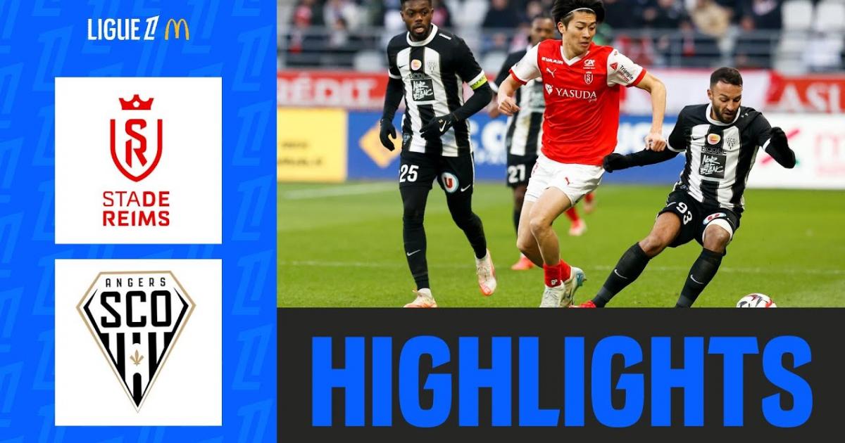 Highlights