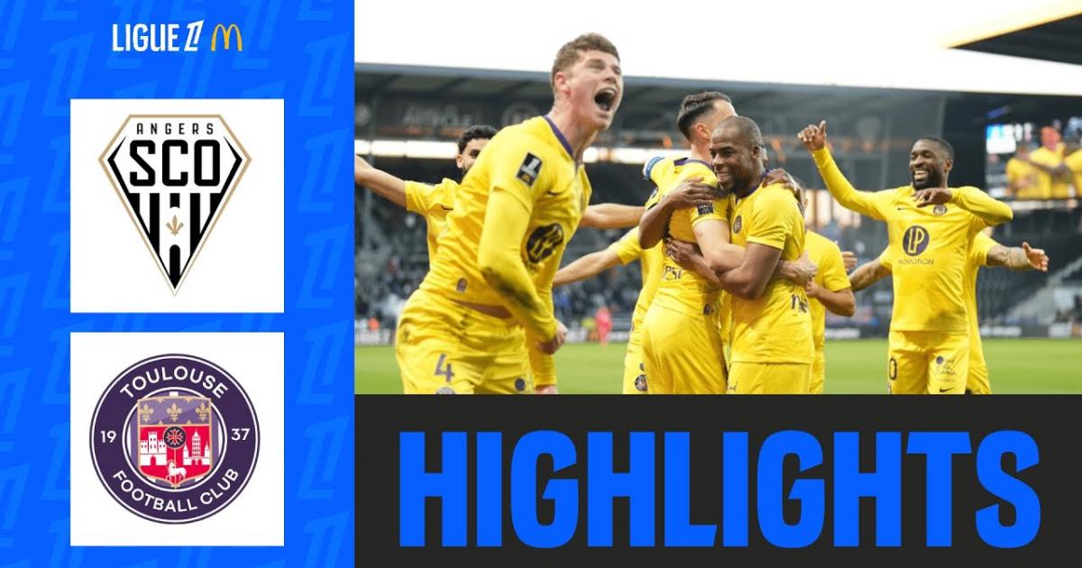 Highlights