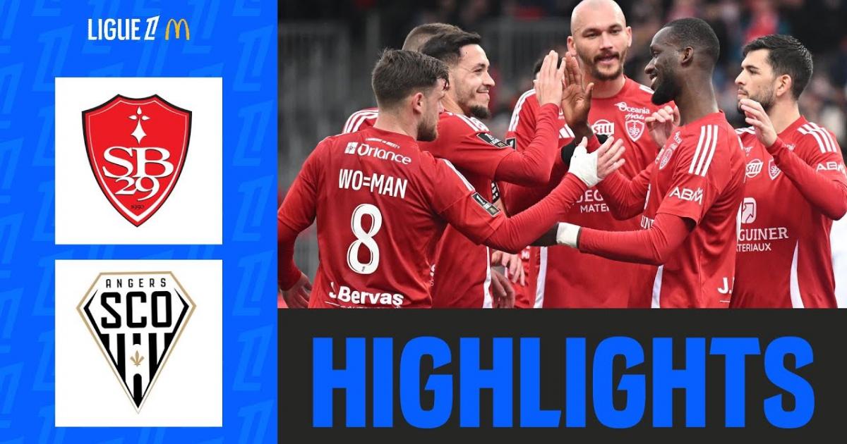 Highlights