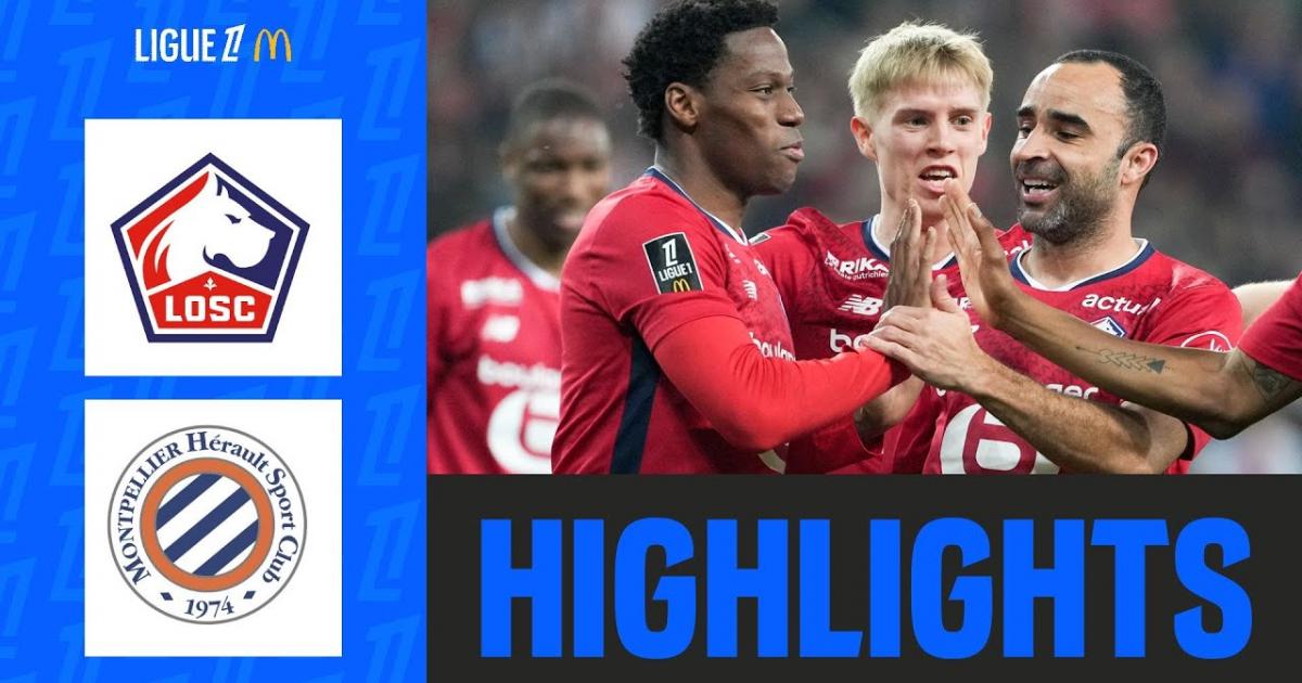 Highlights