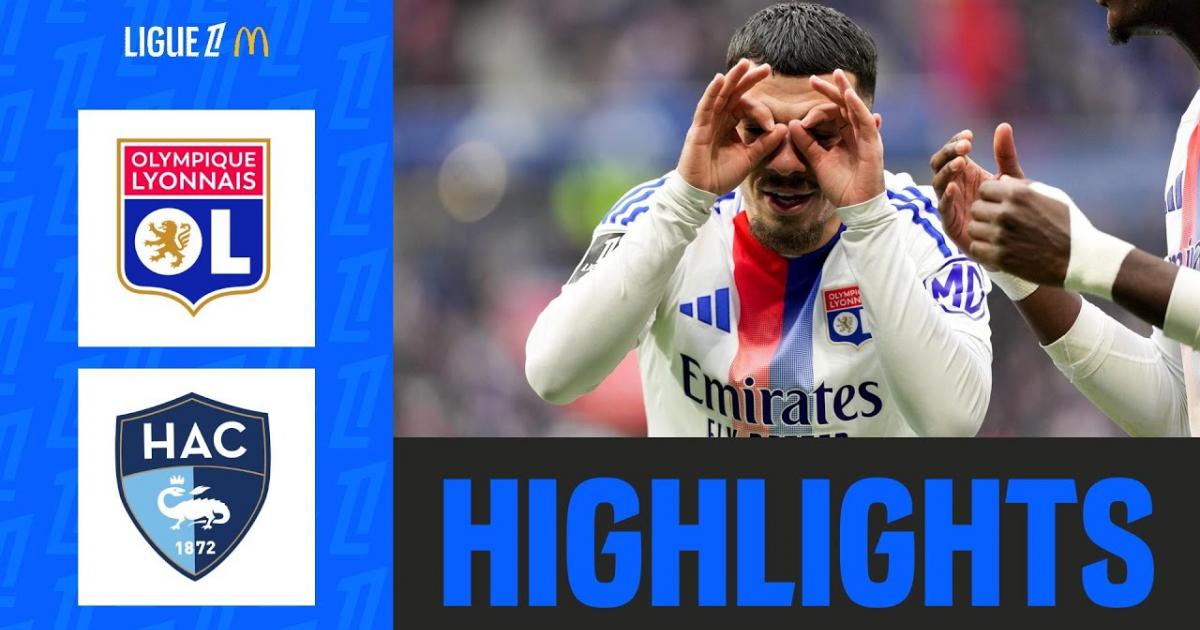 Highlights