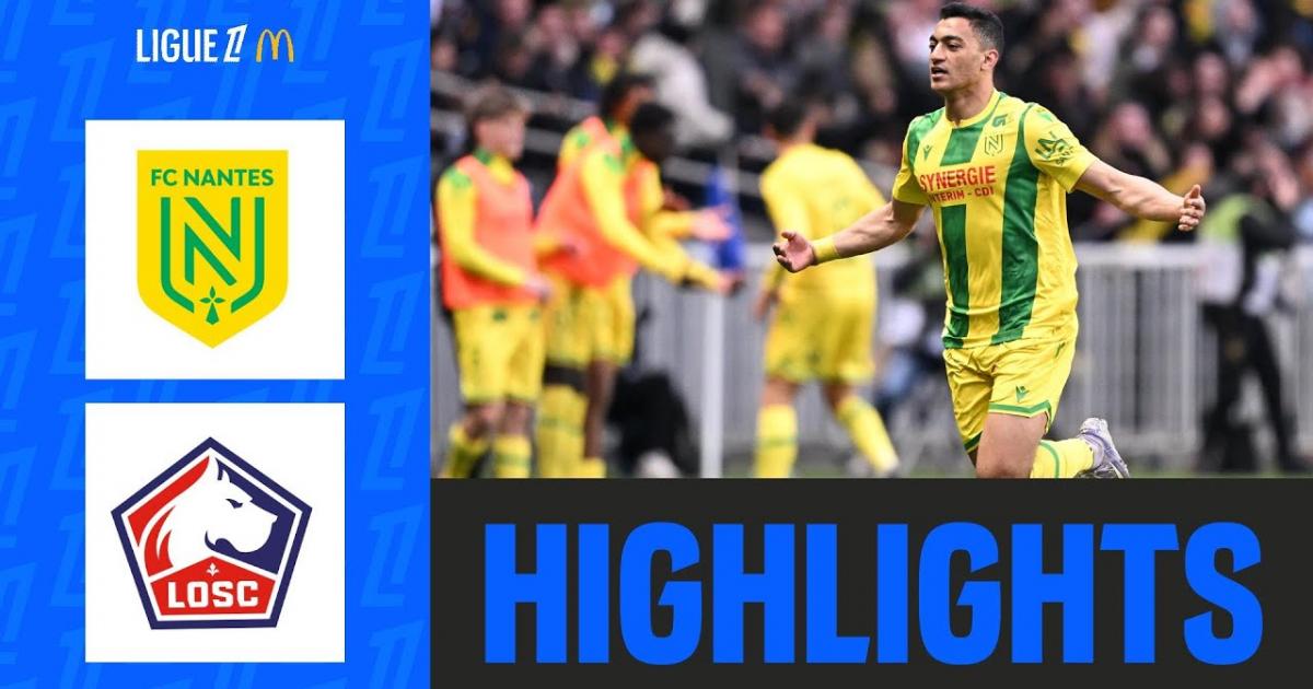 Highlights