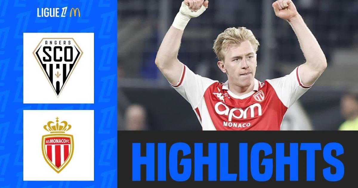 Highlights