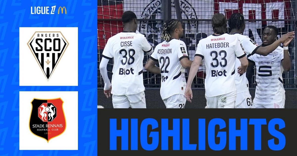 Highlights