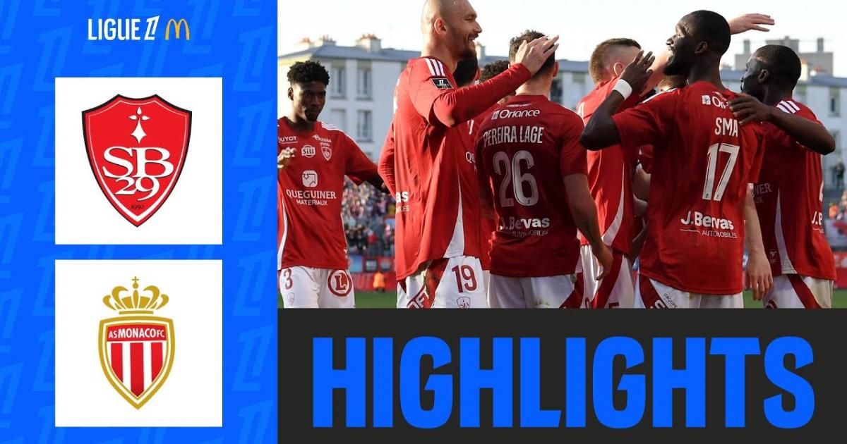 Highlights