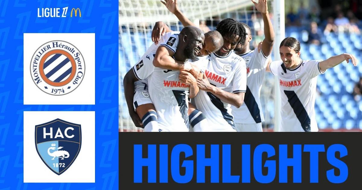 Highlights