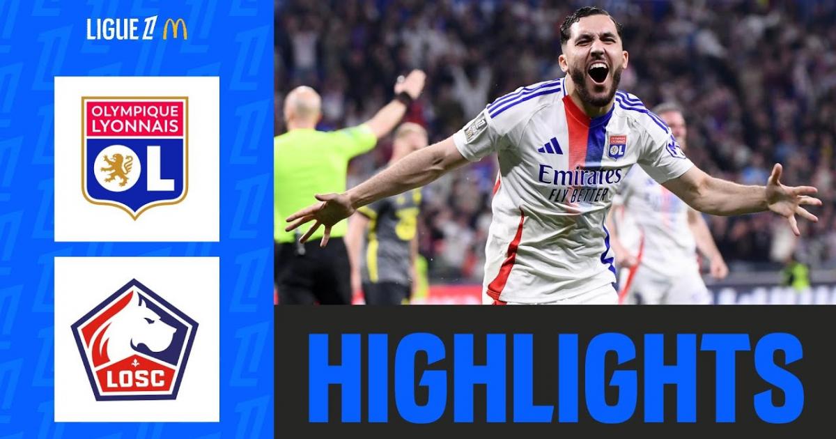 Highlights