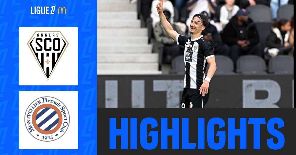 Highlights