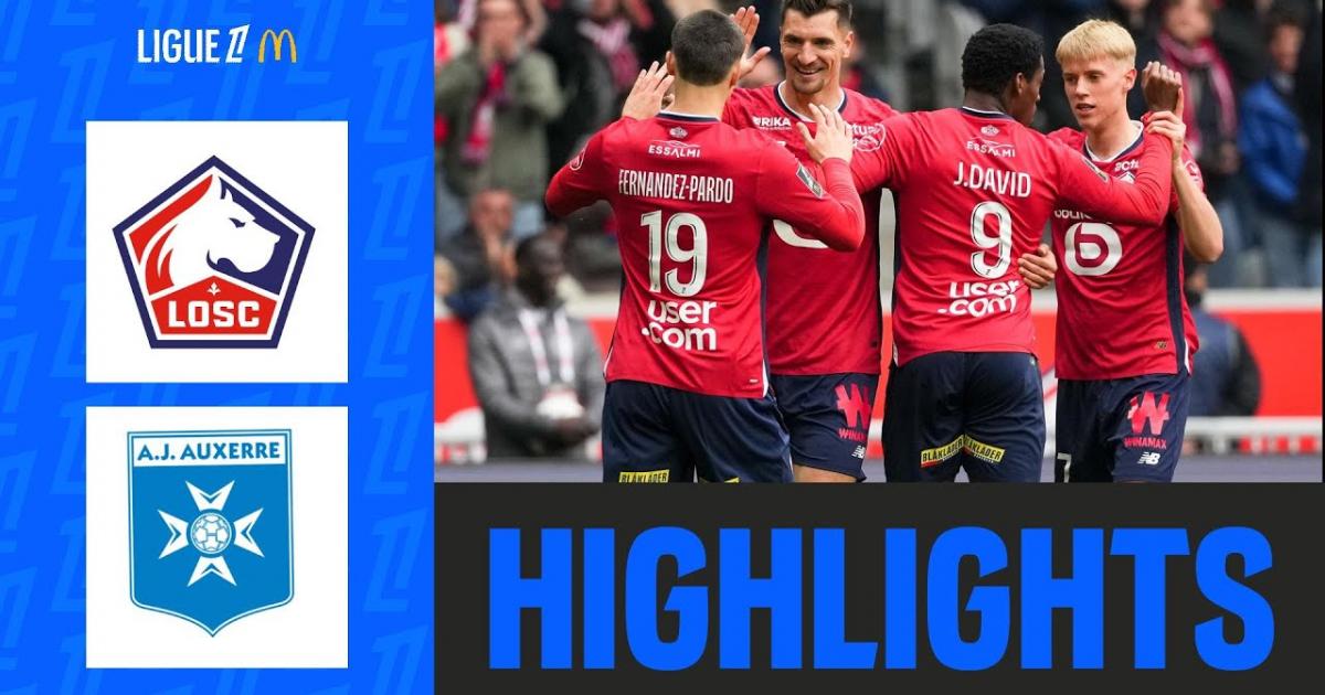 Highlights