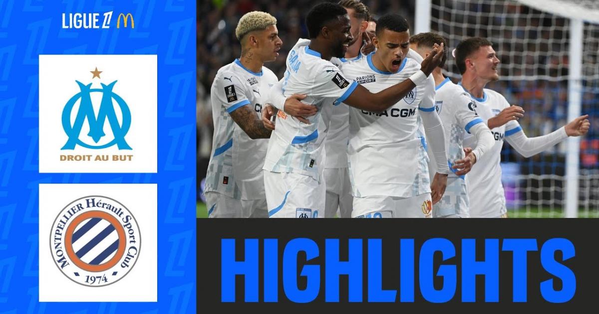 Highlights