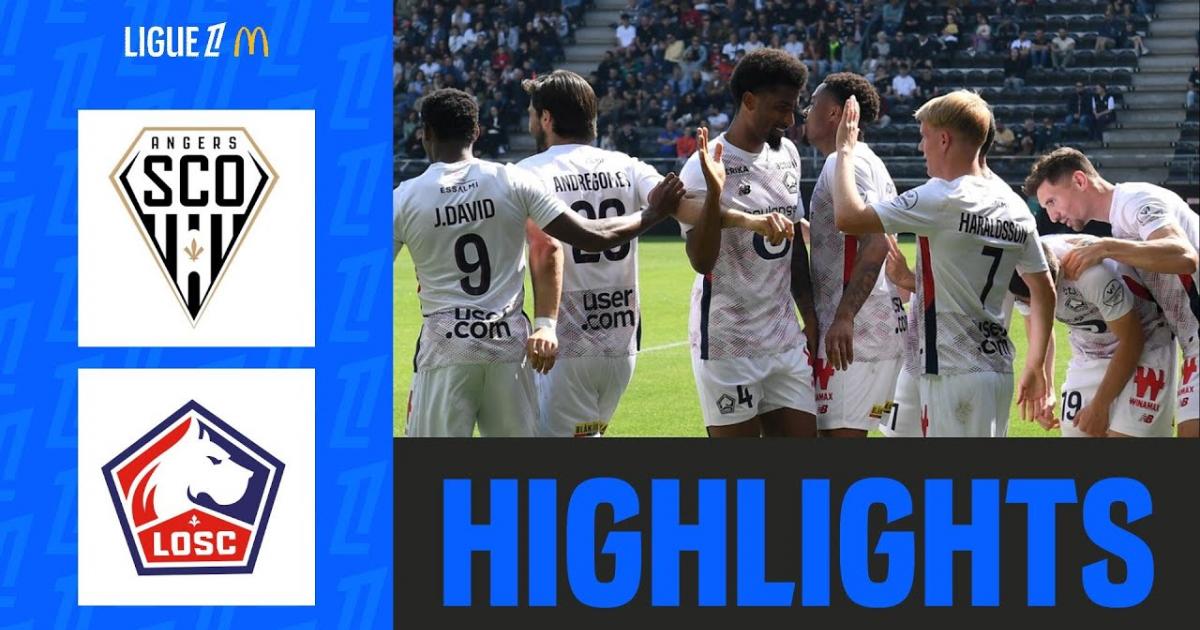 Highlights