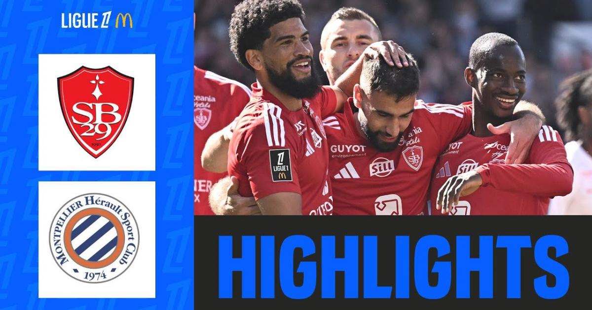 Highlights