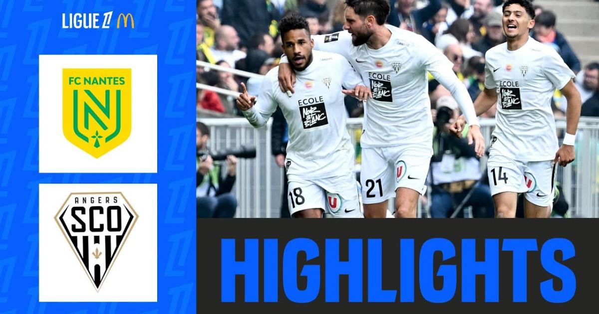 Highlights