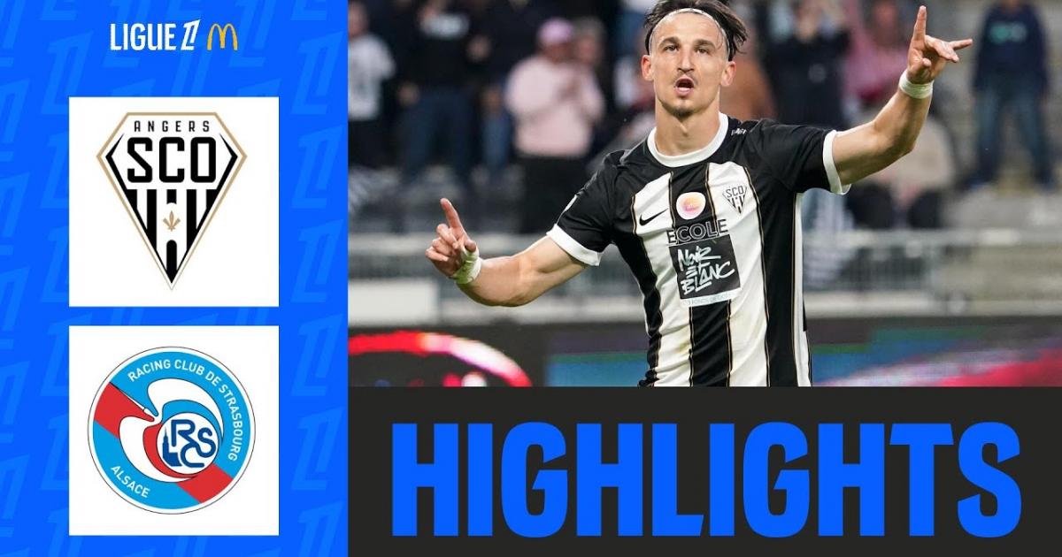 Highlights