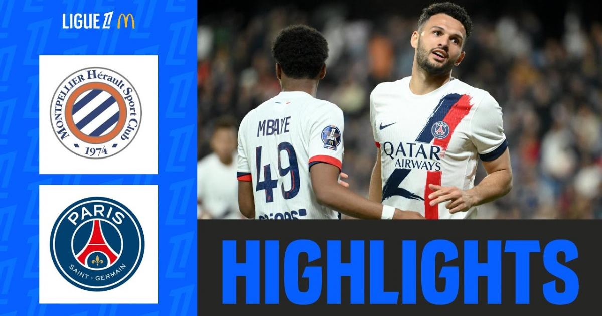 Highlights