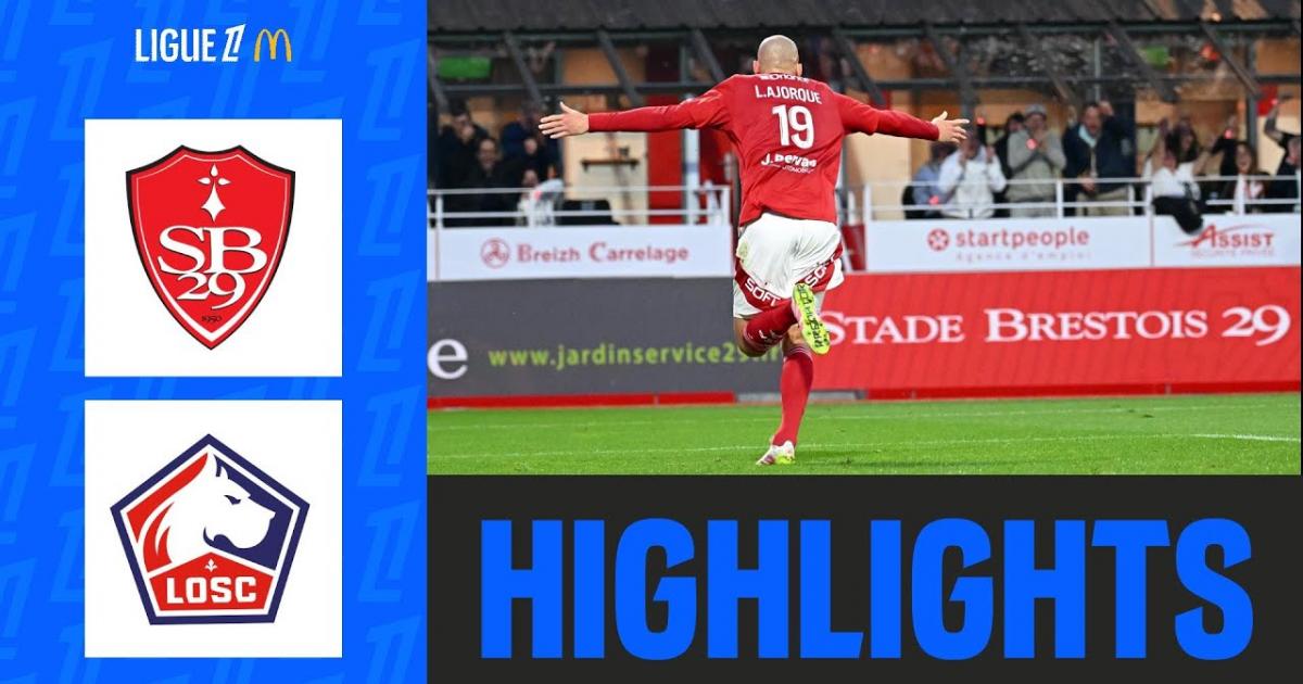 Highlights