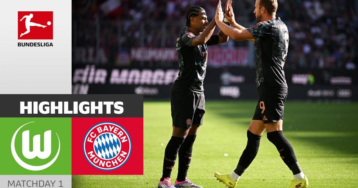 Highlights