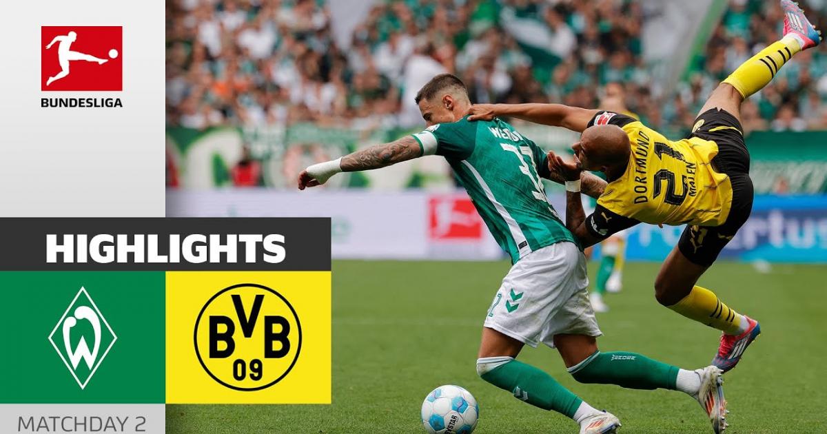 Highlights