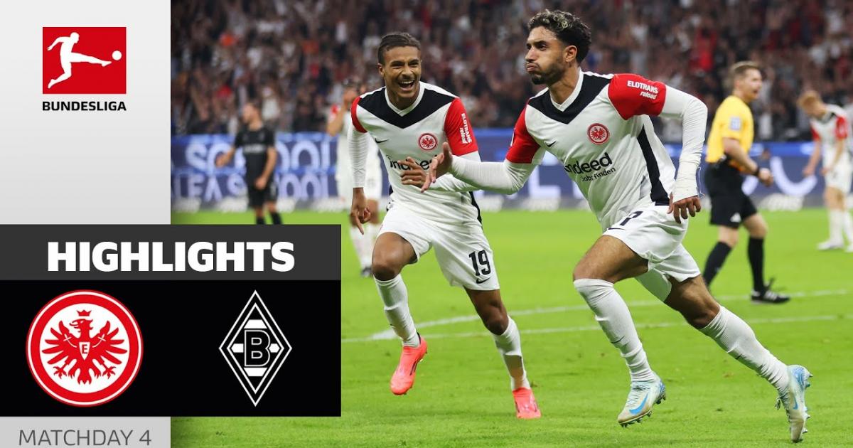 Highlights