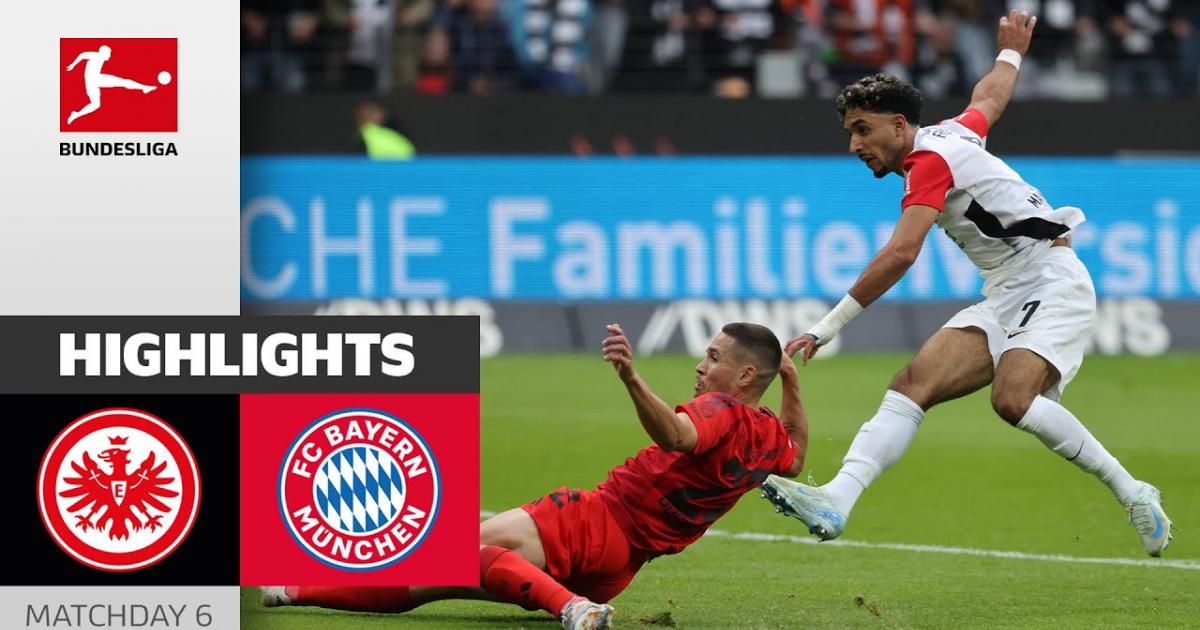 Highlights