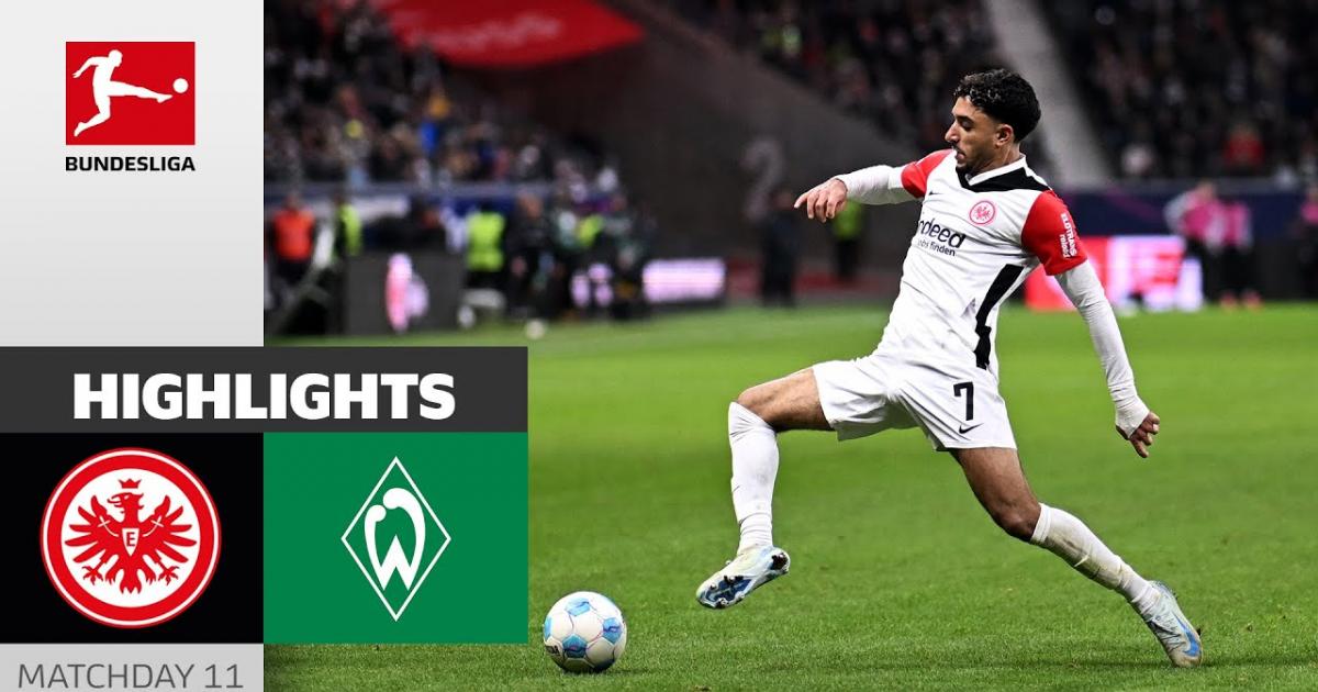 Highlights