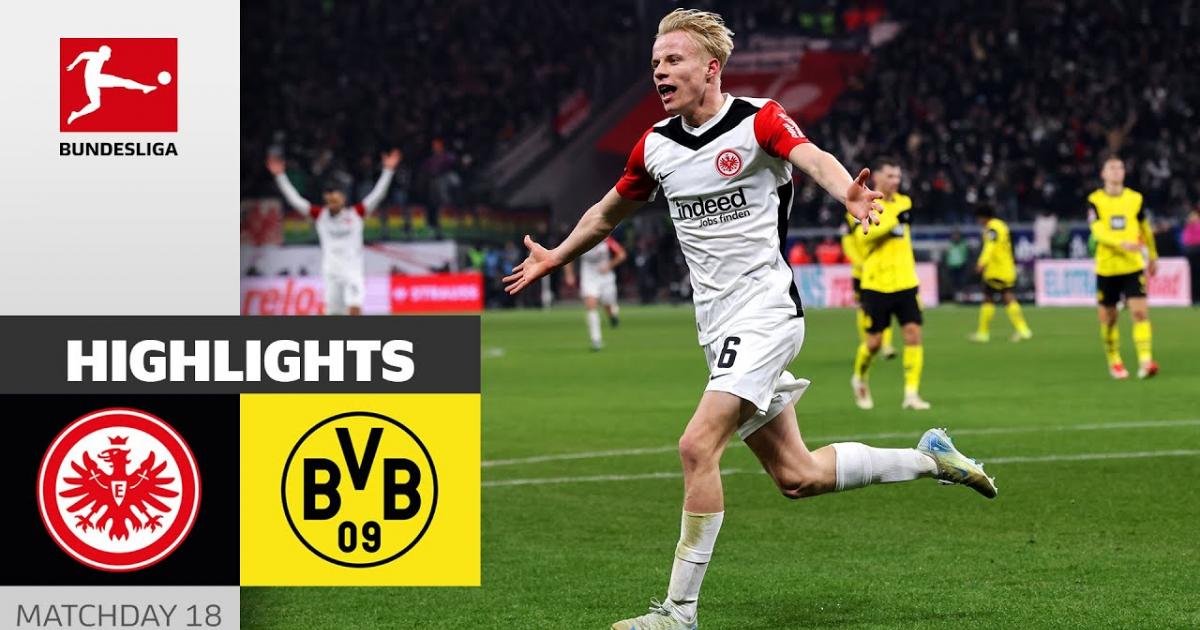 Highlights