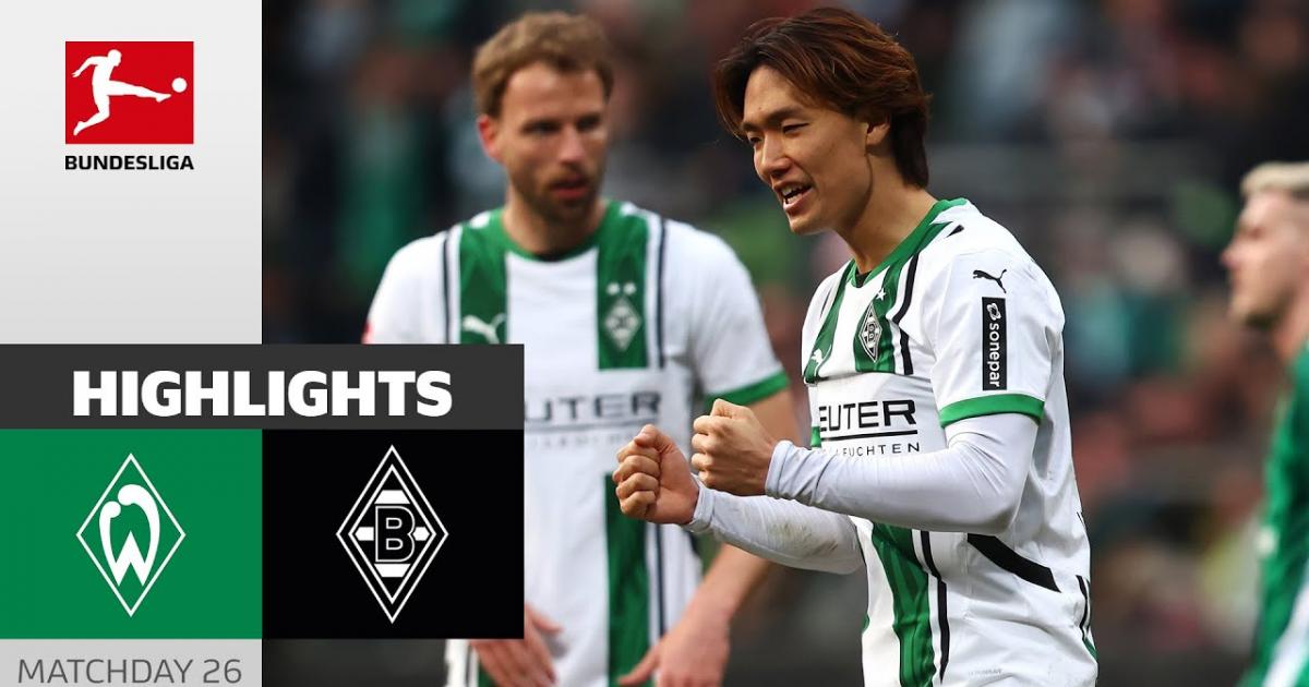 Highlights