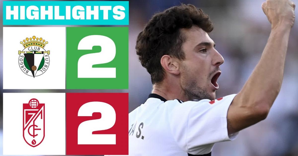 Highlights