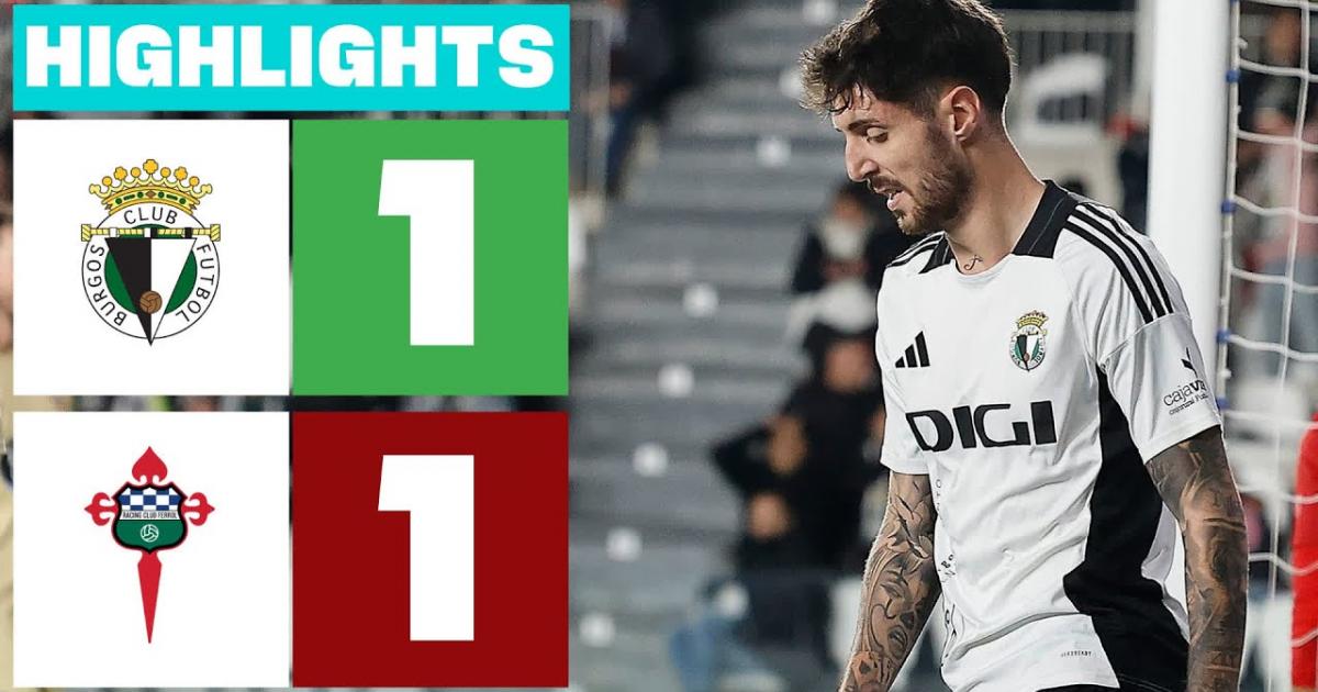 Highlights
