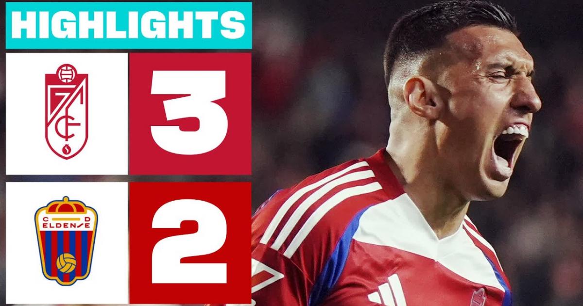 Highlights