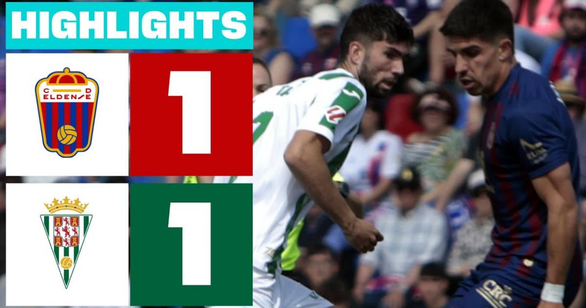 Highlights
