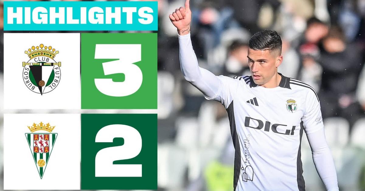 Highlights