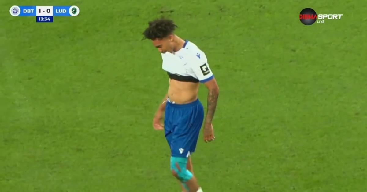 Highlights