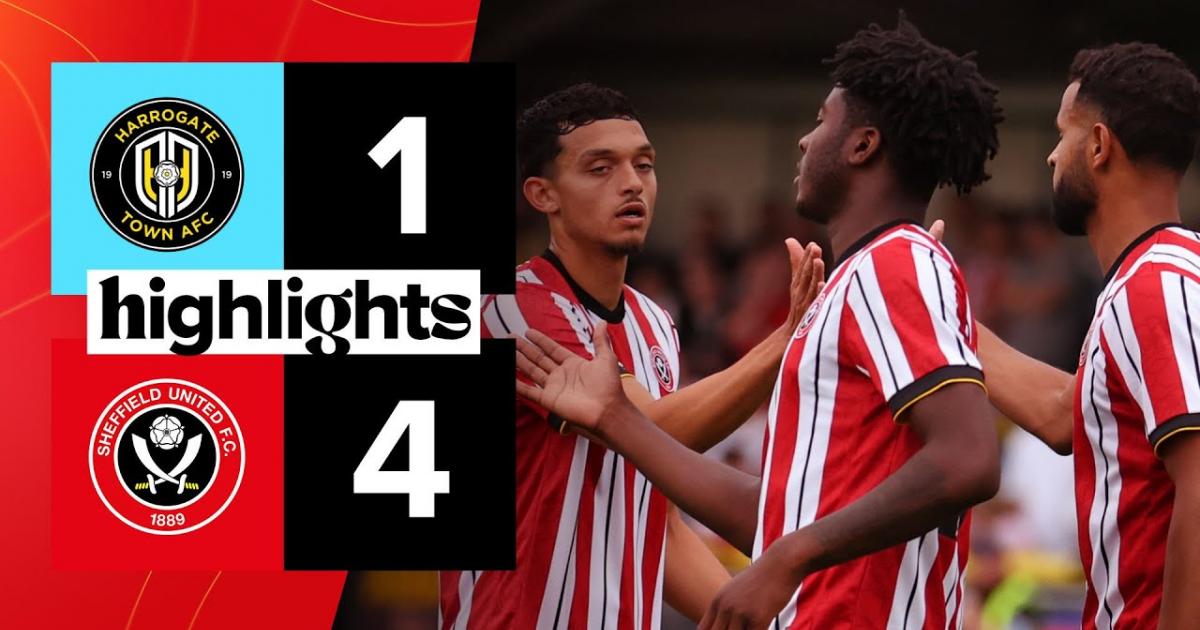 Highlights