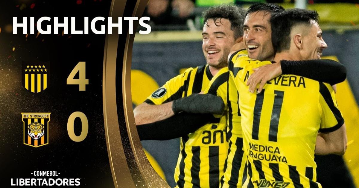 Highlights