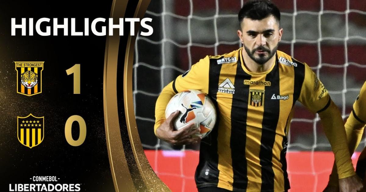 Highlights