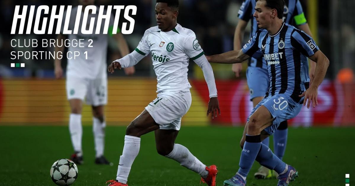 Highlights