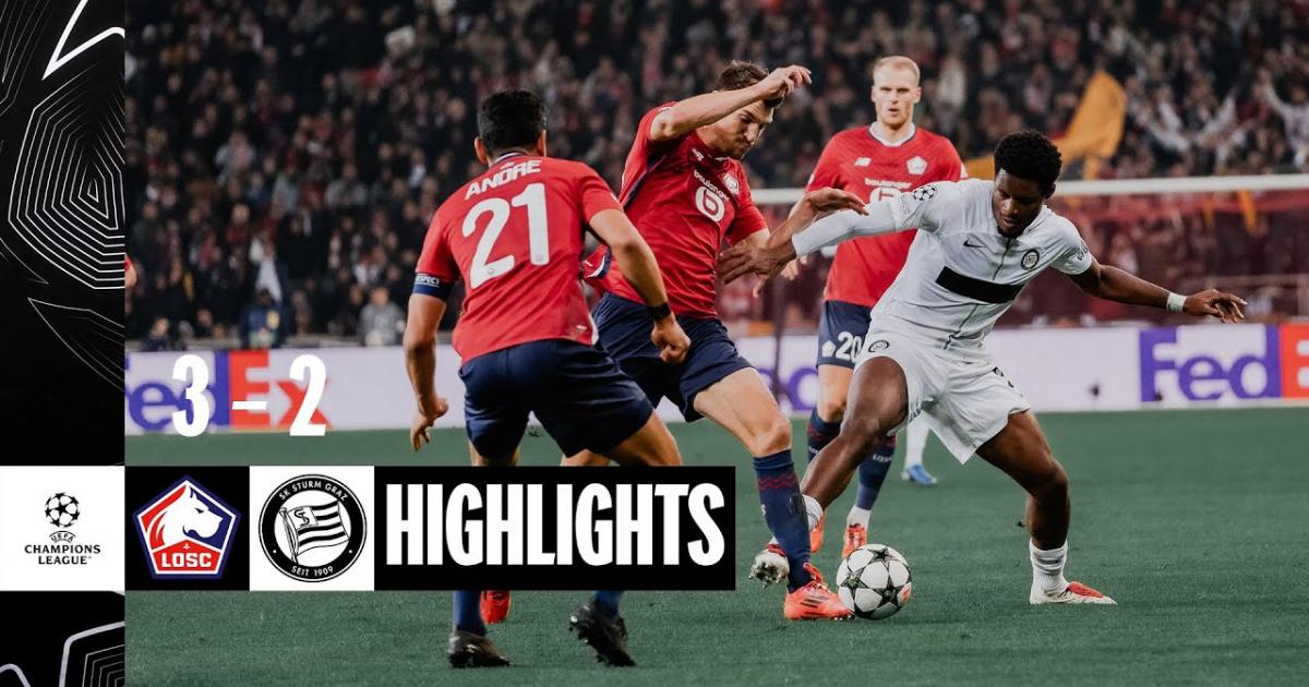 Highlights