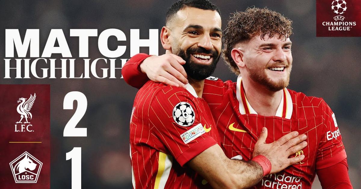 Highlights