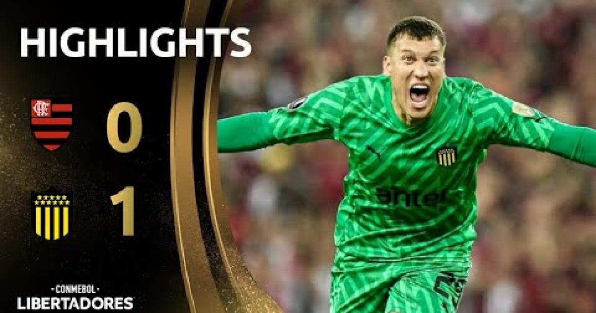 Highlights