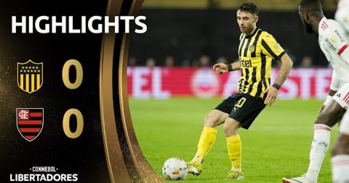 Highlights