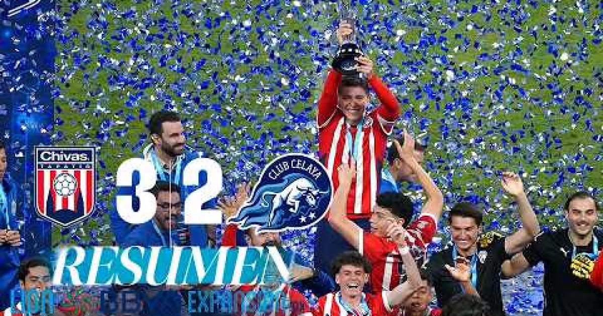 Highlights