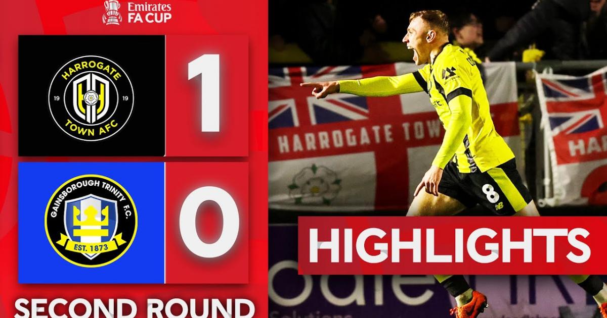 Highlights