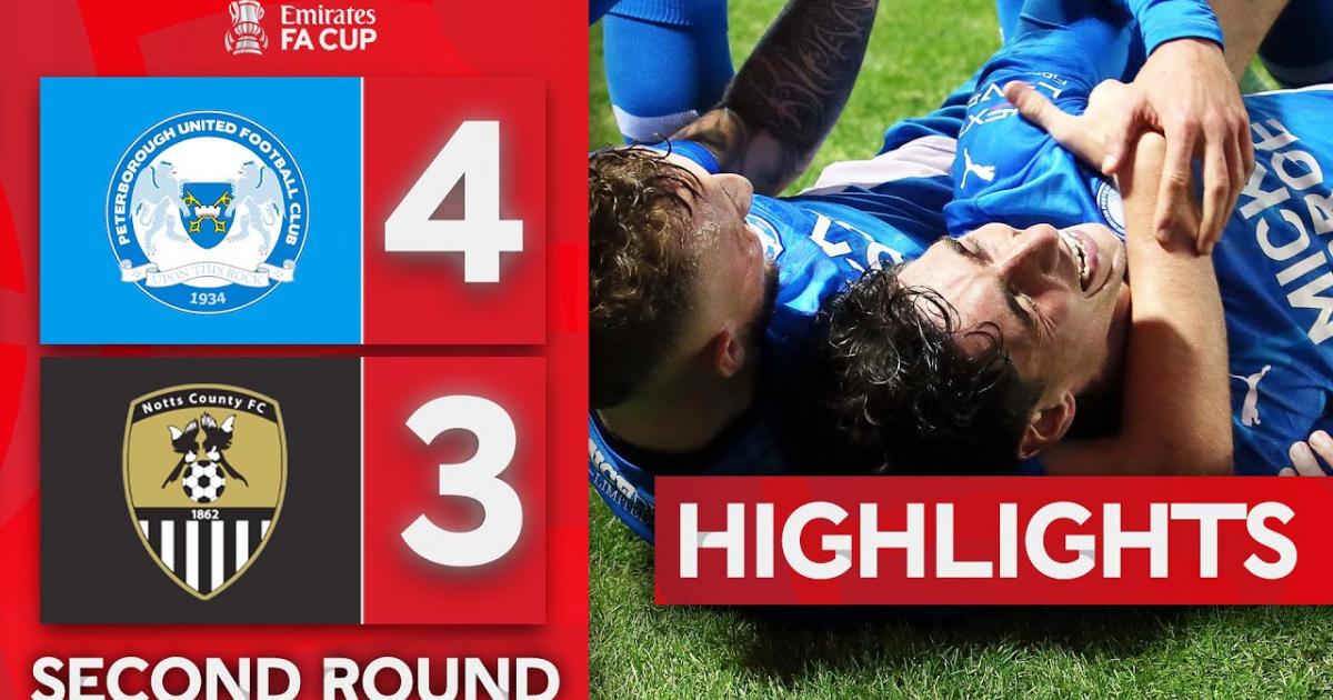 Highlights