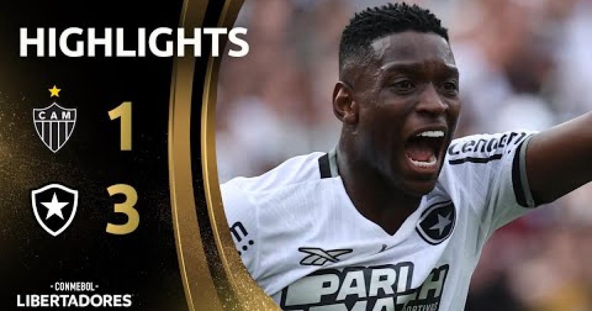 Highlights
