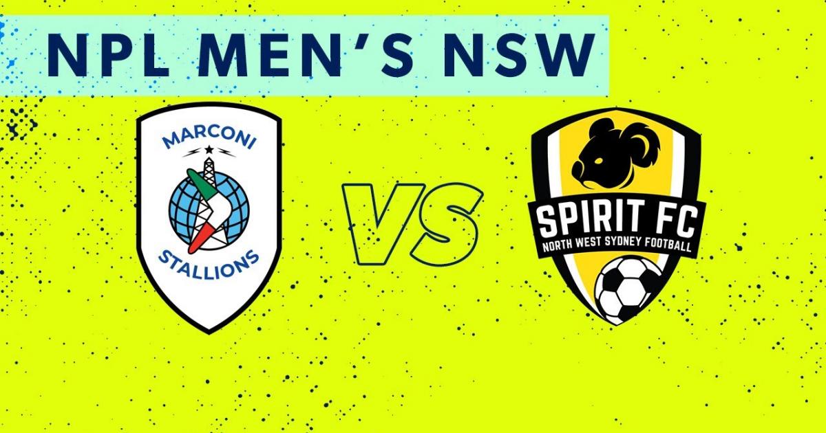 Marconi Stallions - NWS Spirit