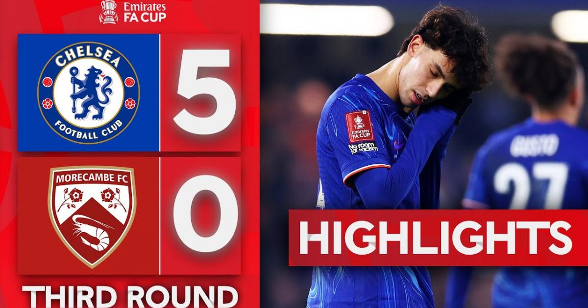 Highlights