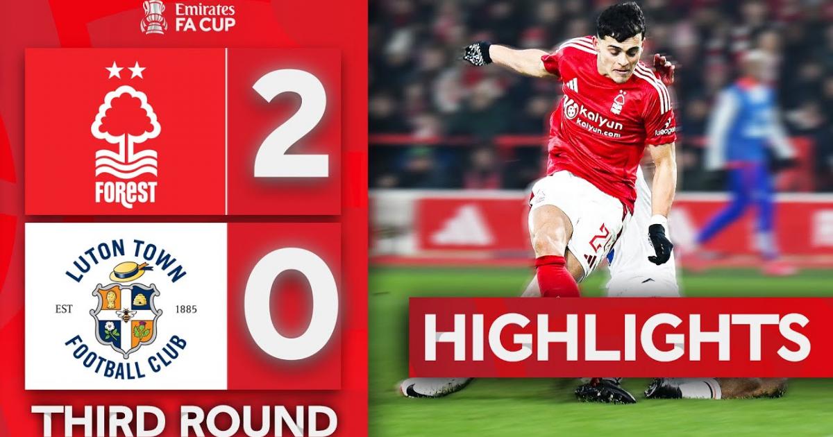 Highlights