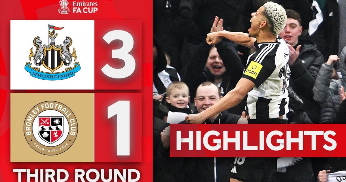Highlights