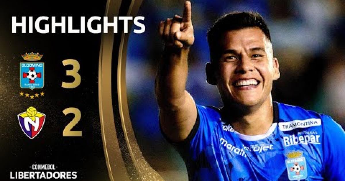 Highlights